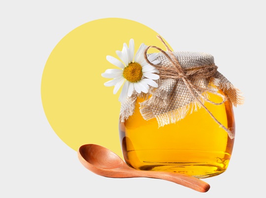 تاریخ زنبود داری و استفاده از عسل طبیعی