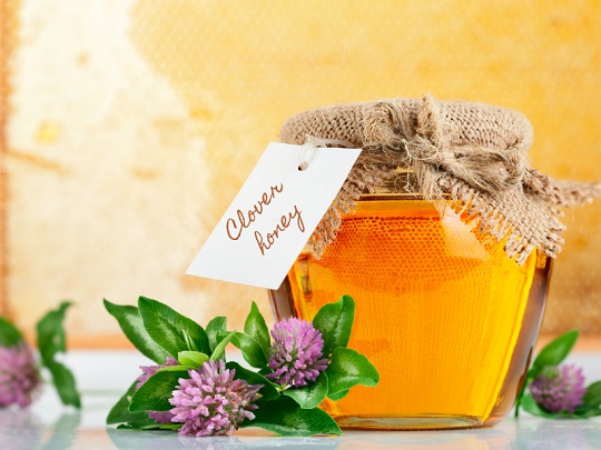 عسل شبدر چیست؛ خواص و فواید و موارد استفاده از آن