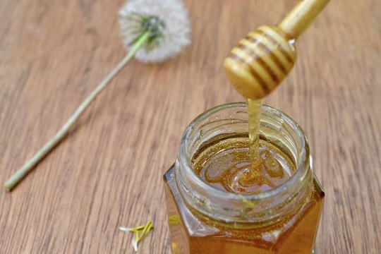 وگن ها: عسل از استثمار زنبورها به‌دست می‌آید