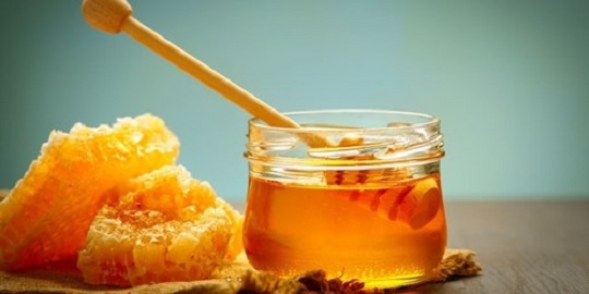 عسل خارشتر چیست؟ بررسی خواص و فواید آن