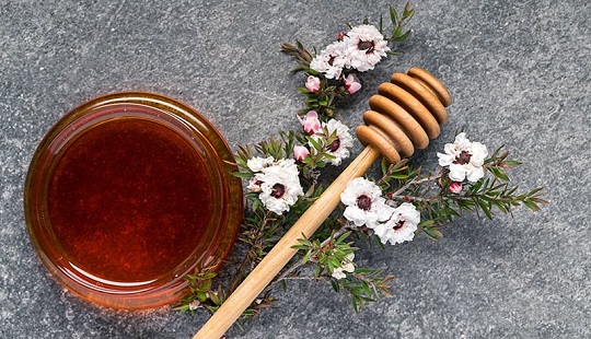 تاثیر ترکیب عسل و مغزهای خوراکی در بهبود سطح لیبیدو